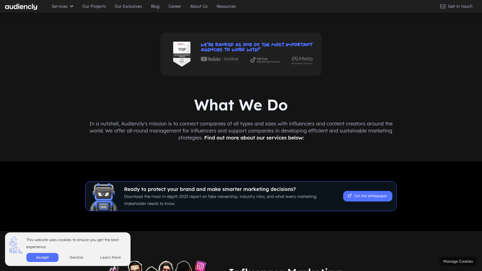 Audiencly website screenshot