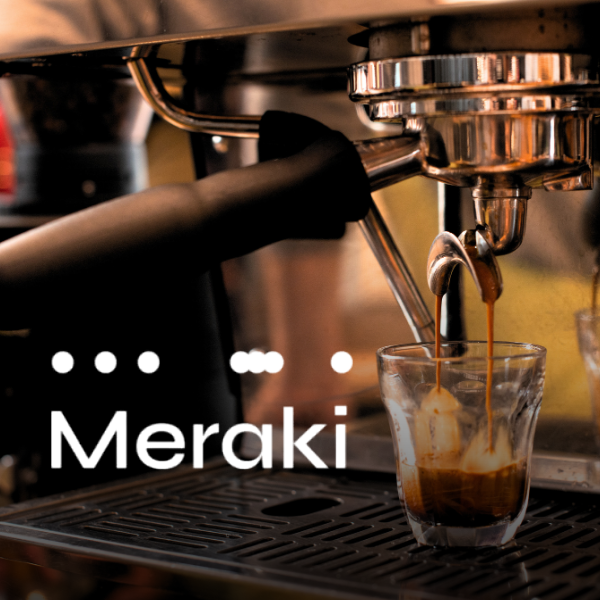 Meraki Influencer Marketing Campaign Case Study